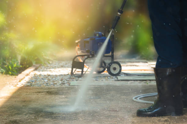 Best Roof Washing  in Vineland, NJ